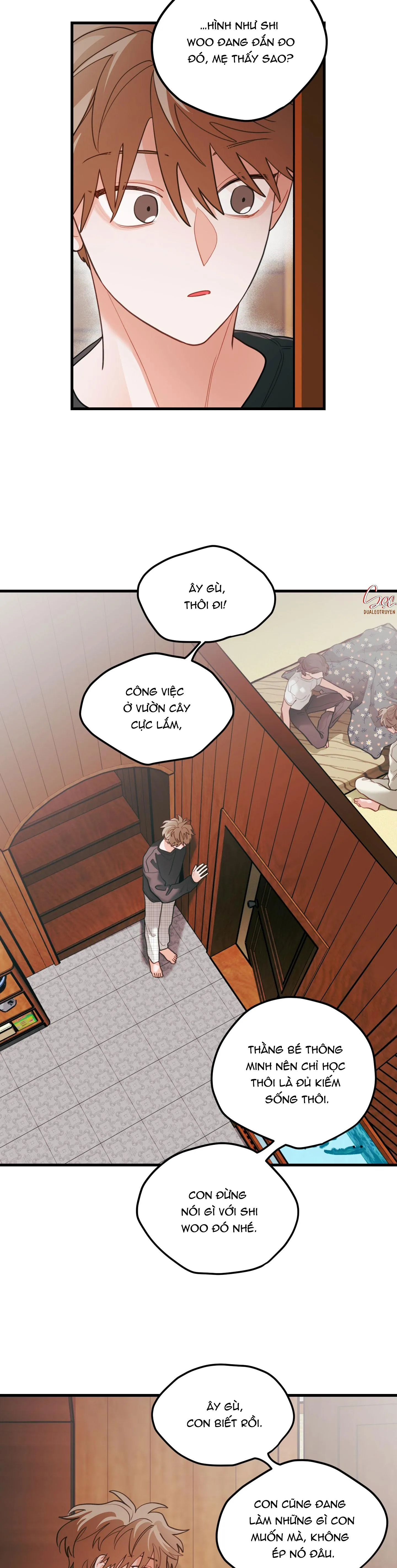 CHUYỆN TÌNH HOA LÊ NỞ Chapter 74 Trang 23