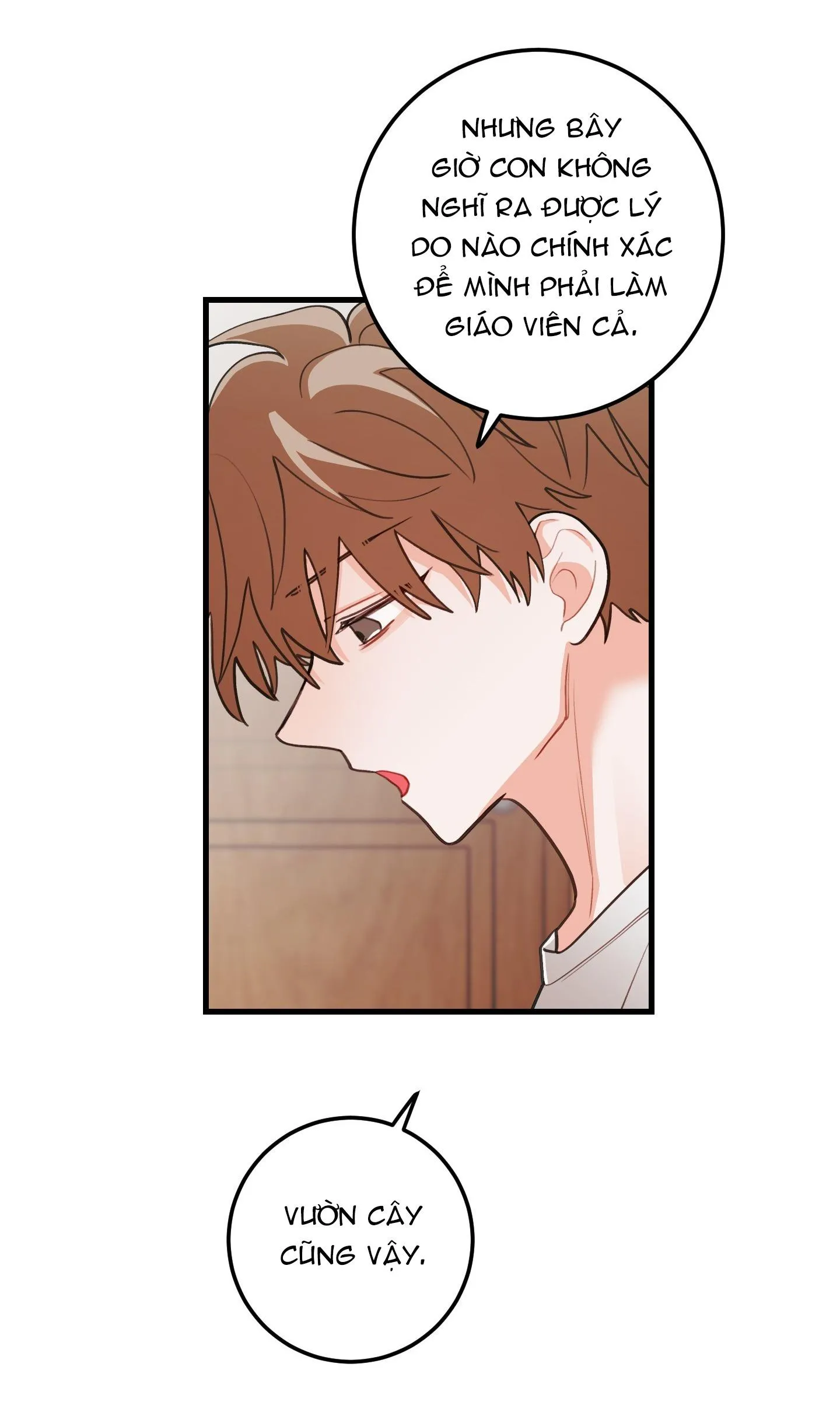 CHUYỆN TÌNH HOA LÊ NỞ Chapter 75 Trang 12