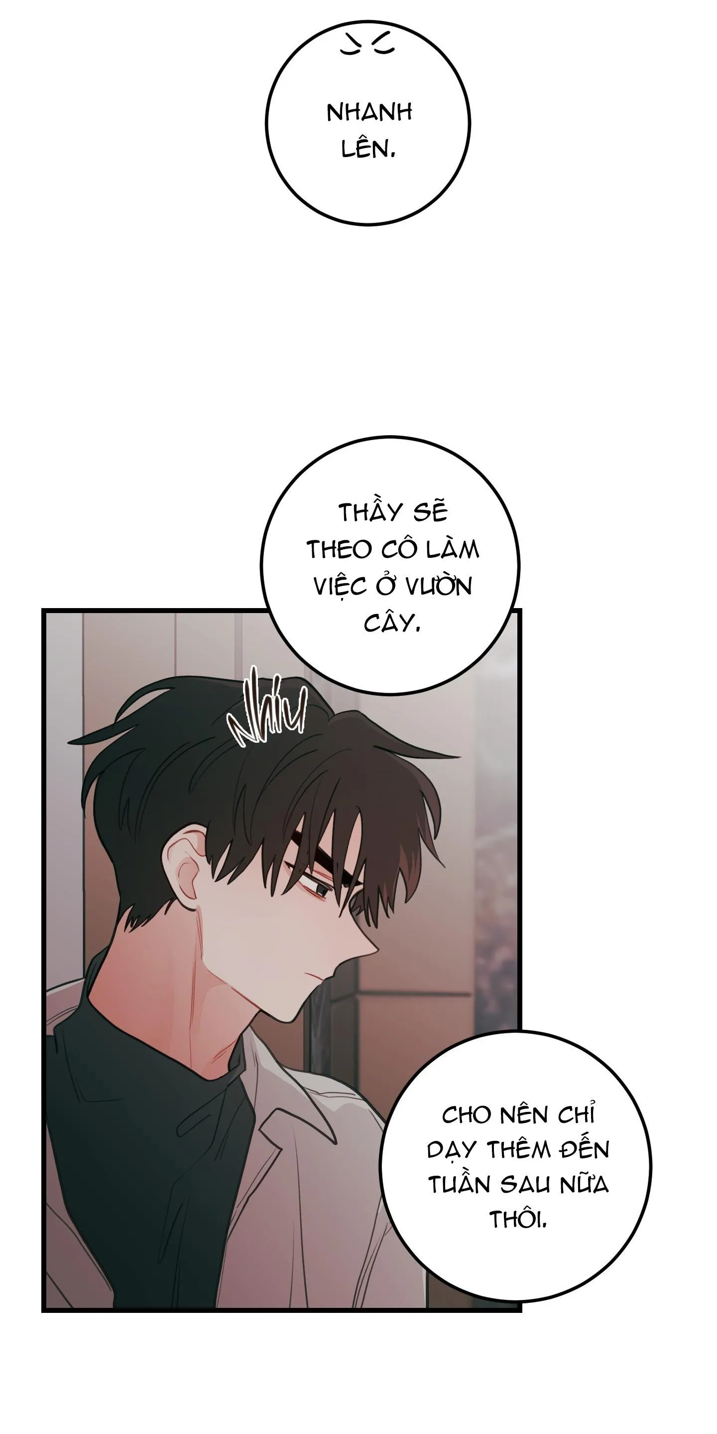 CHUYỆN TÌNH HOA LÊ NỞ Chapter 76 Trang 4