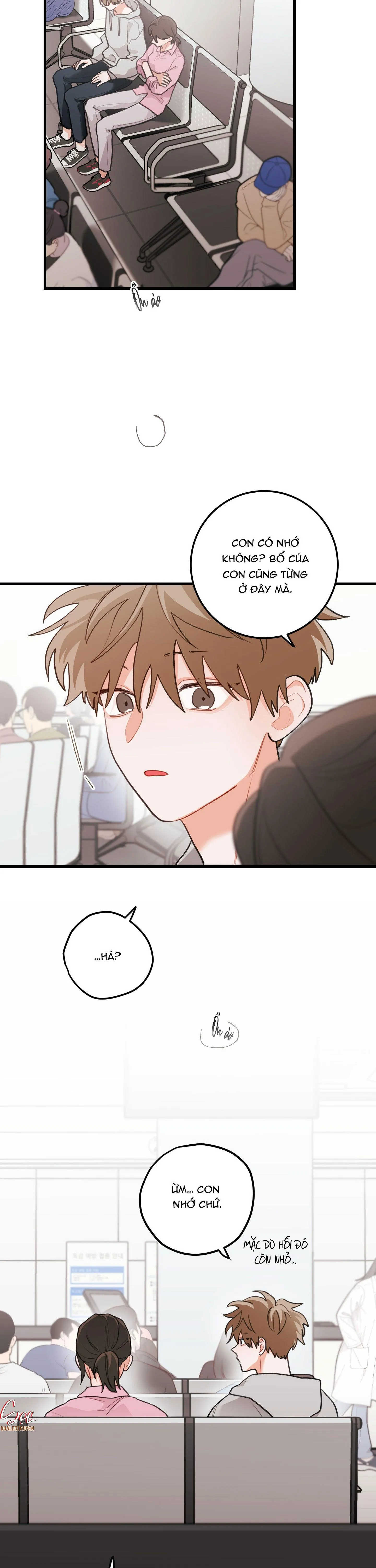 CHUYỆN TÌNH HOA LÊ NỞ Chapter 83 Trang 3