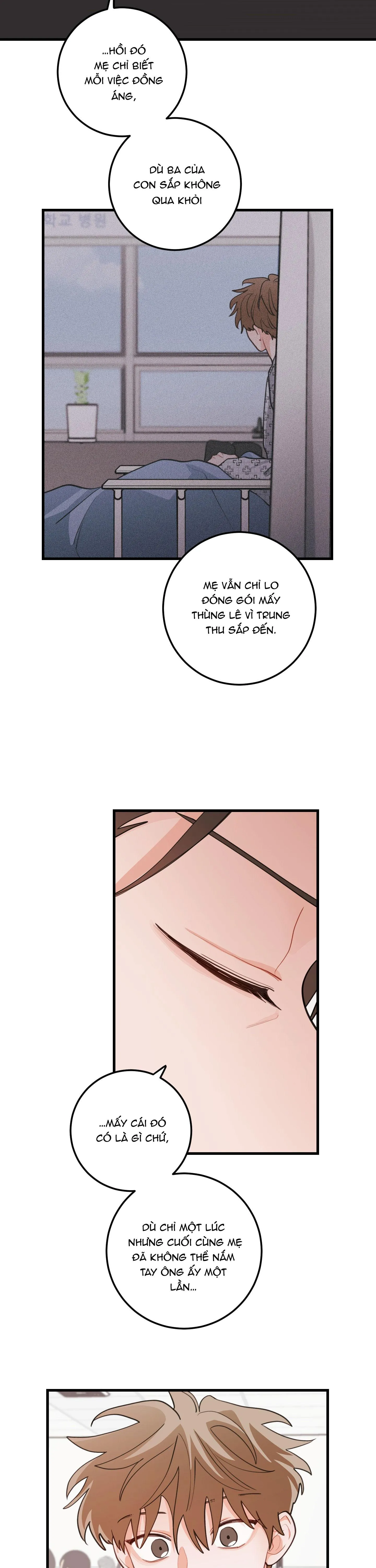 CHUYỆN TÌNH HOA LÊ NỞ Chapter 83 Trang 4