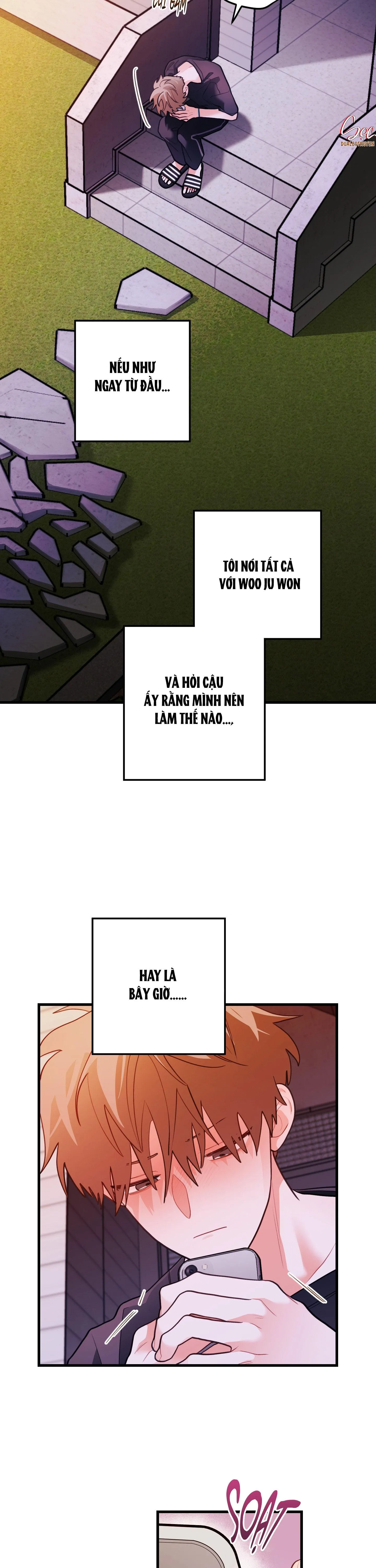 CHUYỆN TÌNH HOA LÊ NỞ Chapter 83 Trang 10