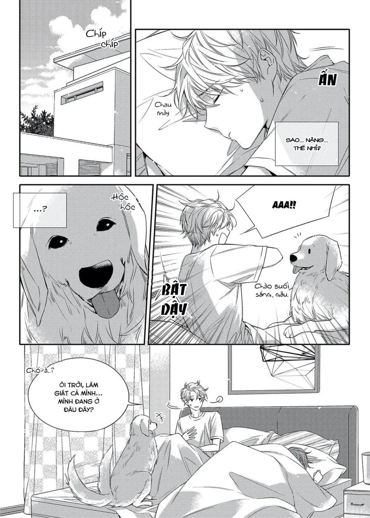 Chuyện Tình Không Lường Trước (END) Chapter 6 Trang 5