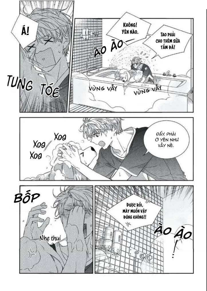 Chuyện Tình Không Lường Trước (END) Chapter 63 Trang 14