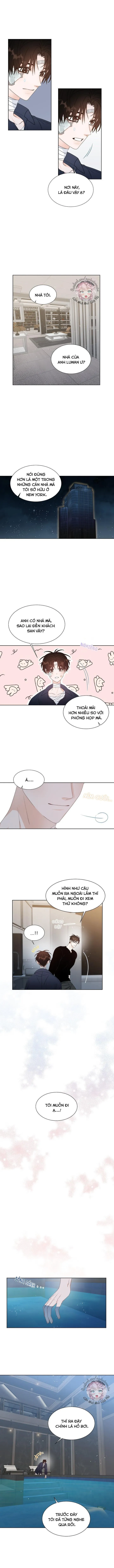Chuyện Tình Lãng Mạn Tại Manhattan Chapter 19 Trang 7