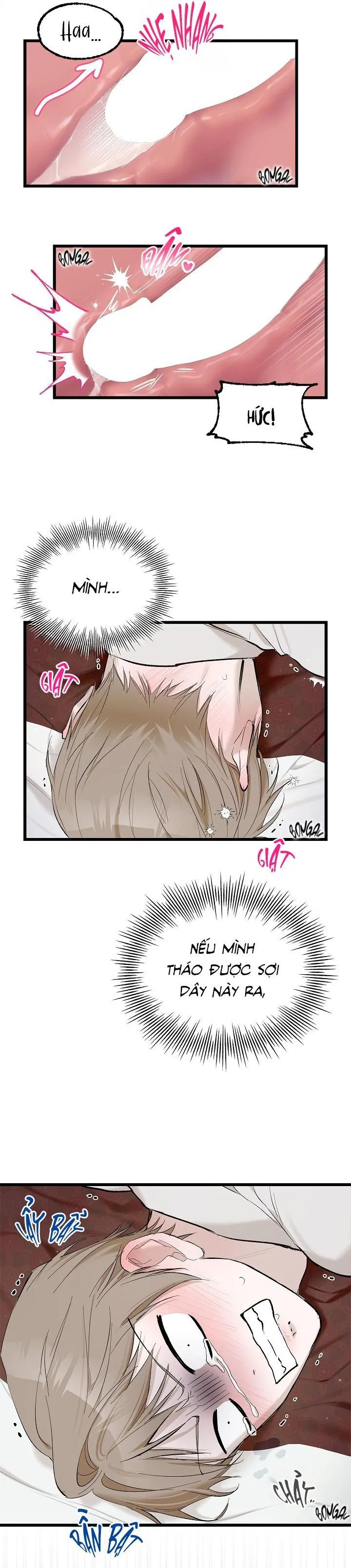 CHUYỆN TÌNH QUÁI ĐẢN Chapter 1 Trang 5