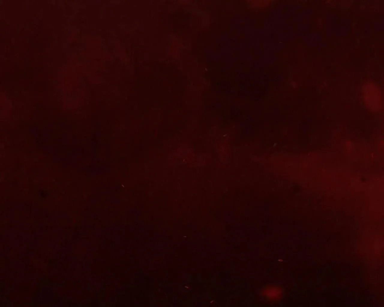 Chuyện về bánh Hotteok Chapter 7 Trang 66