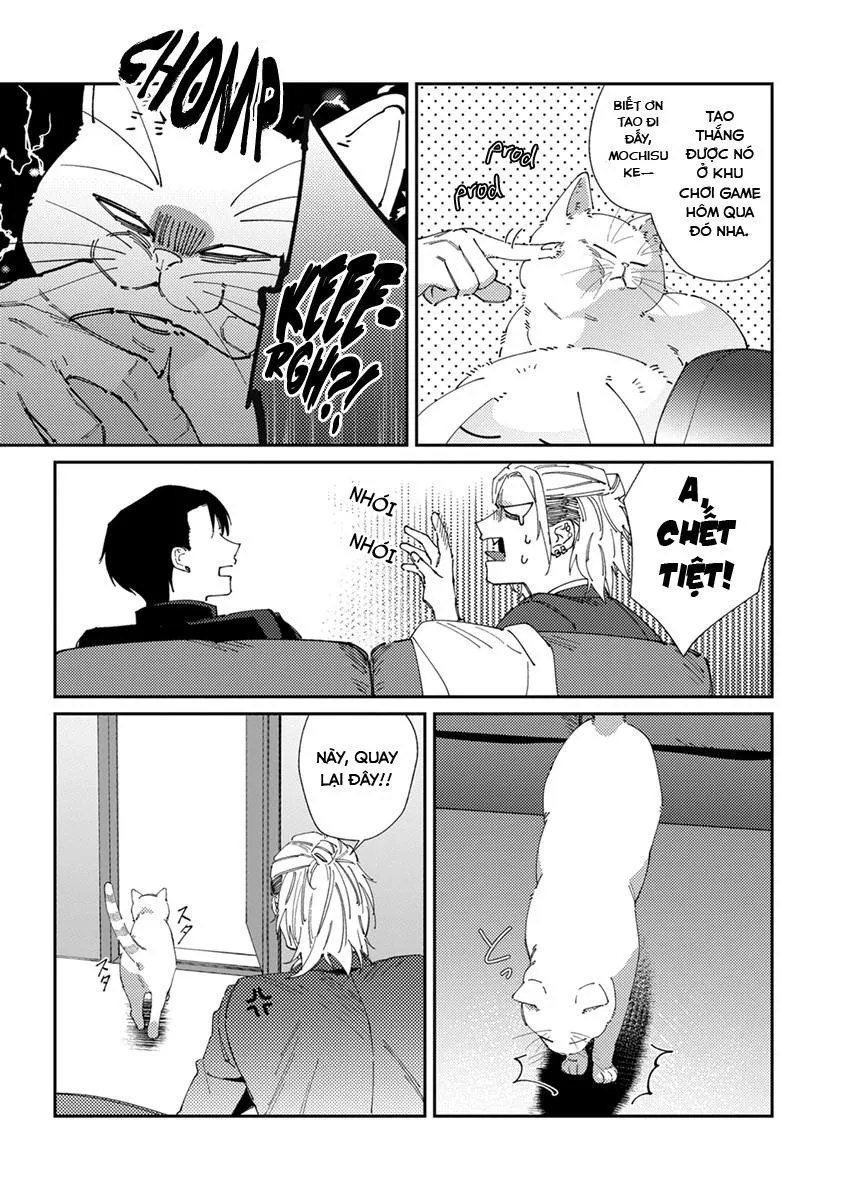 Chuyện Về Cặp Đôi Nhà Shima-chan Chapter 5 Trang 6