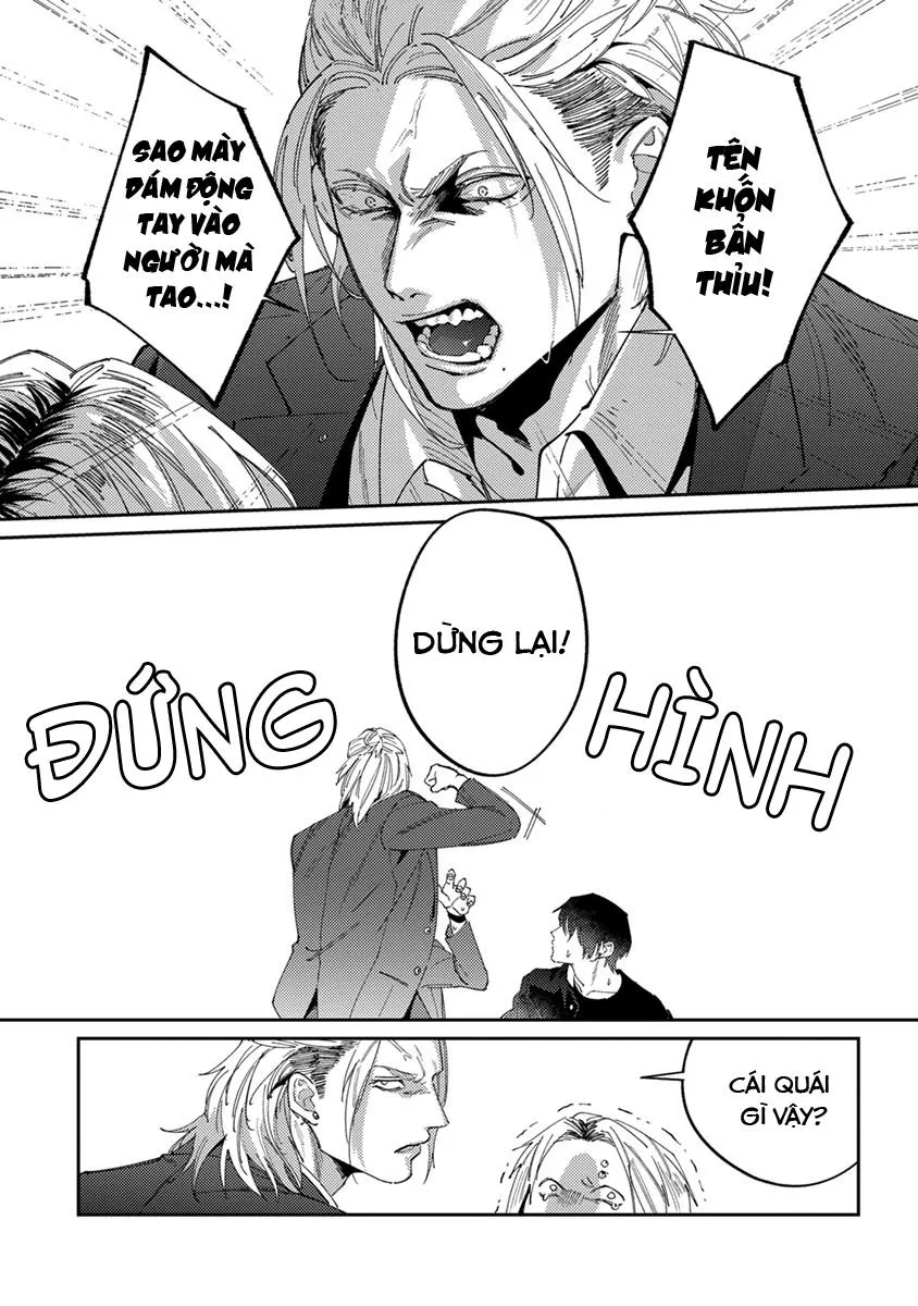 Chuyện Về Cặp Đôi Nhà Shima-chan Chapter 5 Trang 25