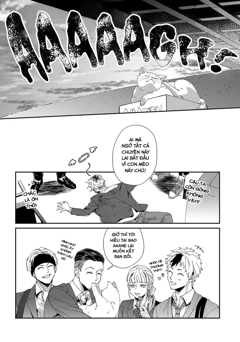 Chuyện Về Cặp Đôi Nhà Shima-chan Chapter 5 Trang 28