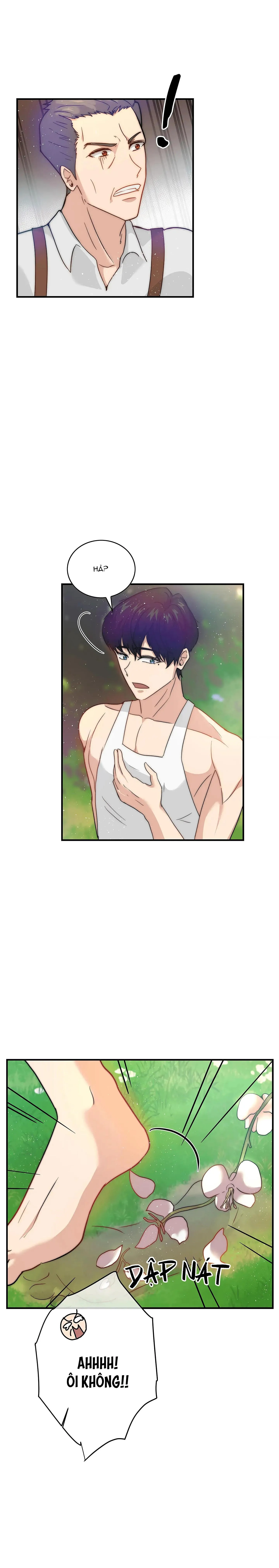 Cinderella Chapter 5 Trang 3