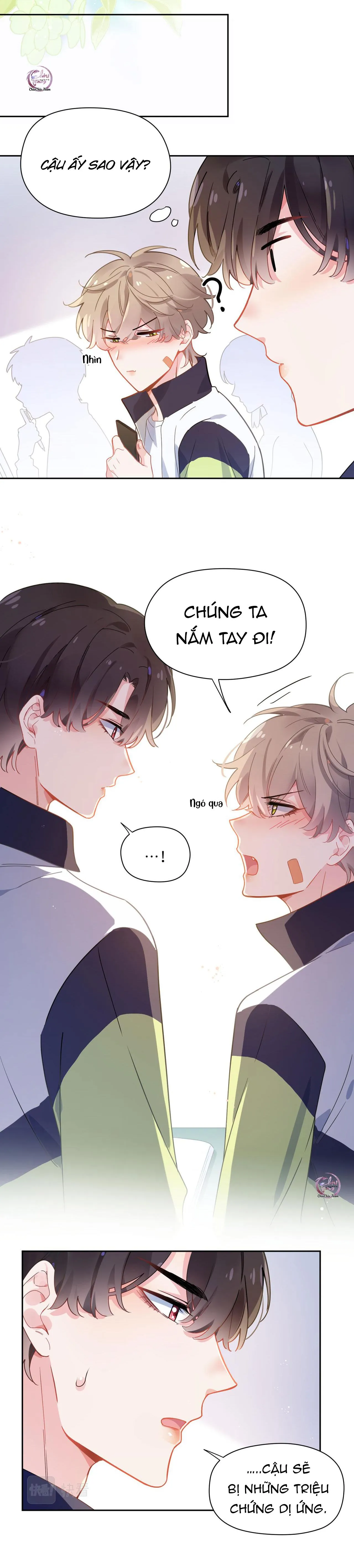 Có Bản Lĩnh Thì Cậu Thử Nổi Nóng Tiếp Đi? Chapter 63 Trang 8