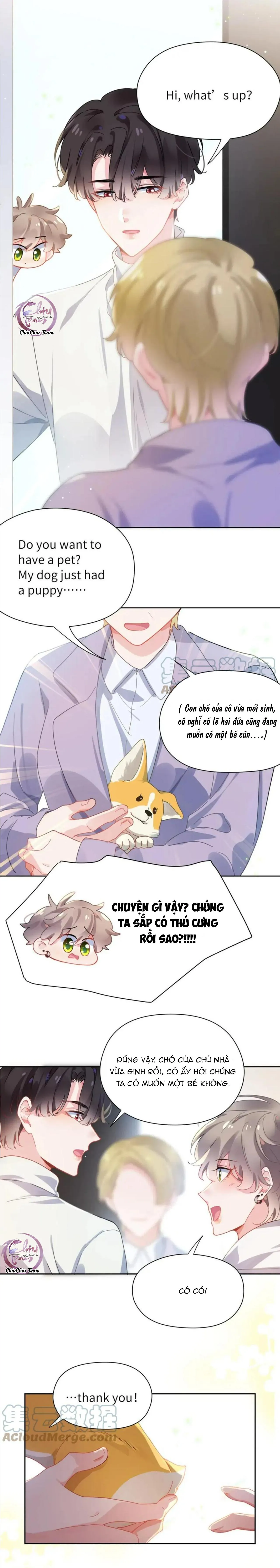 Có Bản Lĩnh Thì Cậu Thử Nổi Nóng Tiếp Đi? Chapter 83 Trang 6