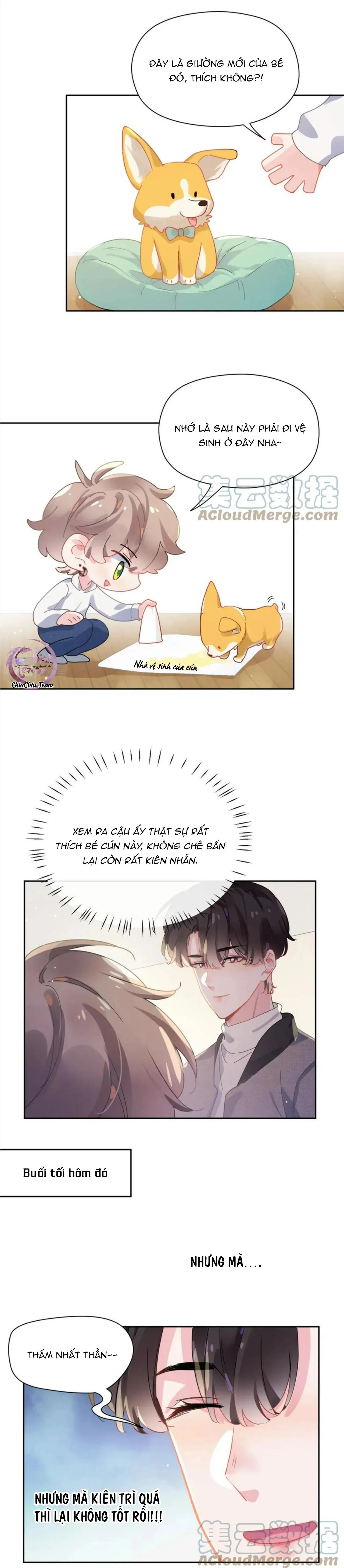 Có Bản Lĩnh Thì Cậu Thử Nổi Nóng Tiếp Đi? Chapter 83 Trang 9