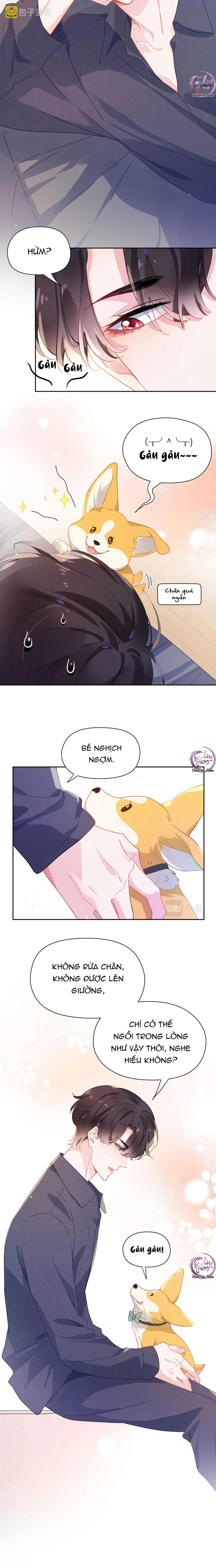 Có Bản Lĩnh Thì Cậu Thử Nổi Nóng Tiếp Đi? Chapter 84 Trang 4