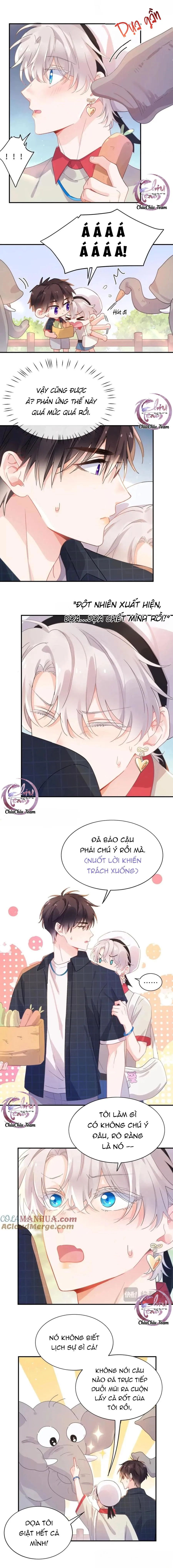 Có Bản Lĩnh Thì Cậu Thử Nổi Nóng Tiếp Đi? Chapter 126 Trang 5