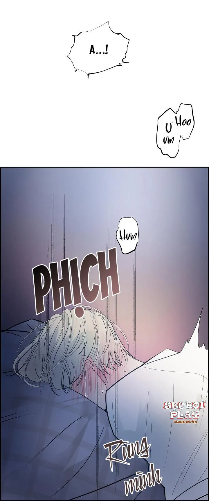 CƠ CHẾ BẢO VỆ Chapter 6 Trang 4