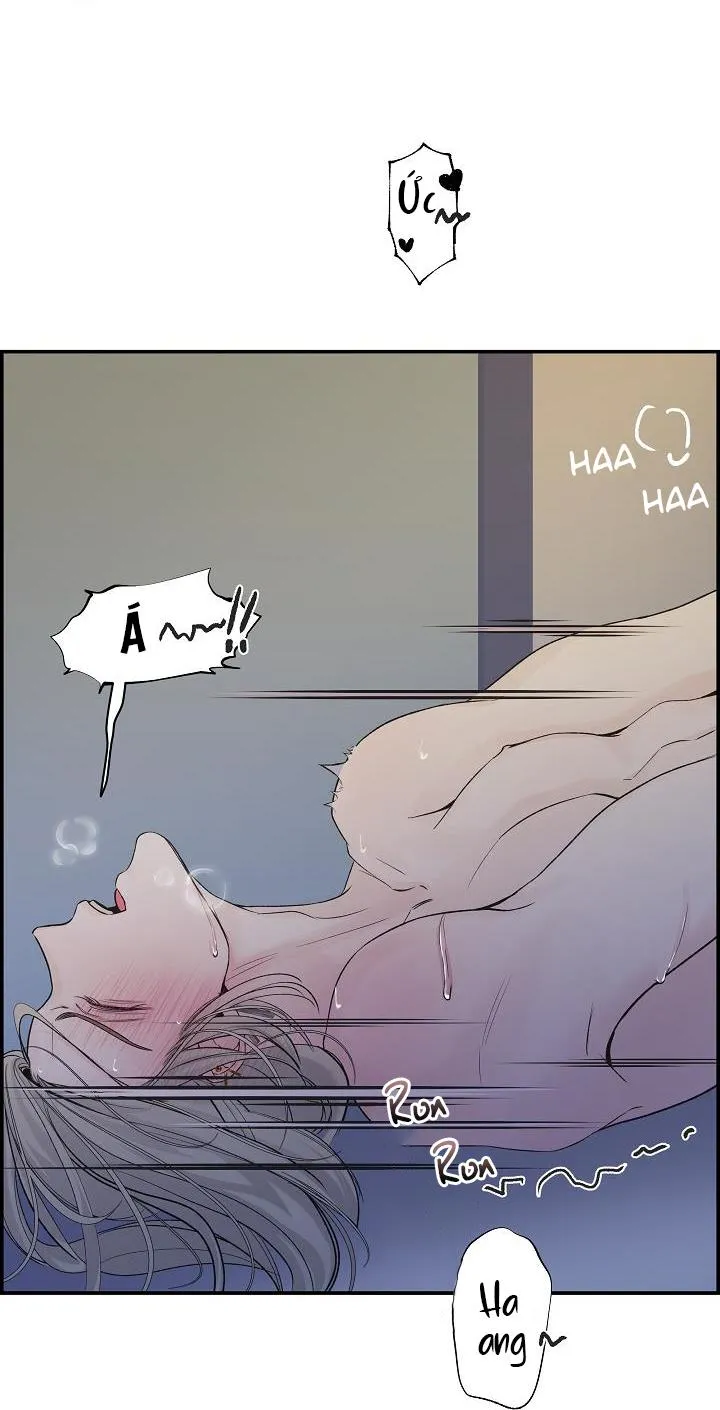 CƠ CHẾ BẢO VỆ Chapter 6 Trang 93