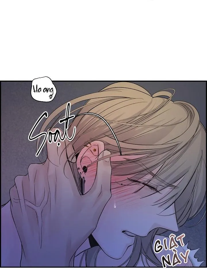 CƠ CHẾ BẢO VỆ Chapter 6 Trang 95