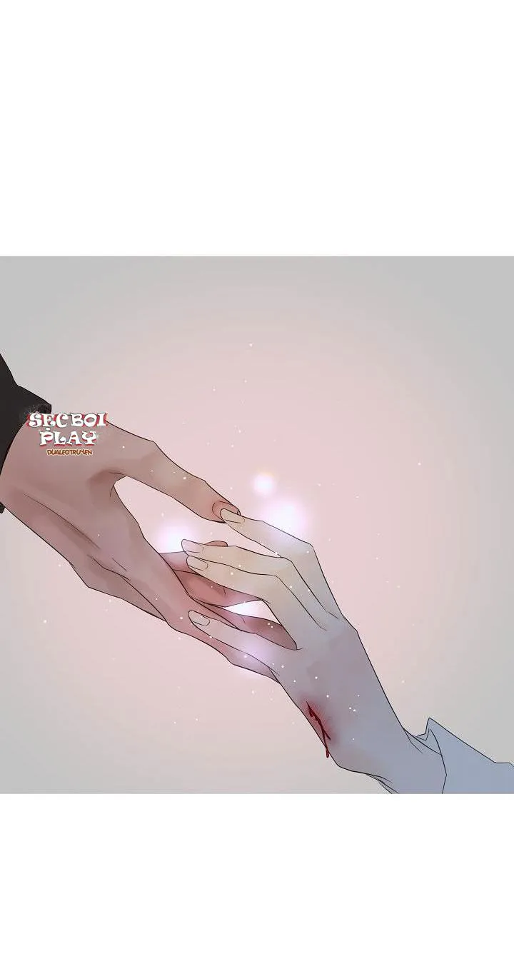 CƠ CHẾ BẢO VỆ Chapter 8 Trang 5