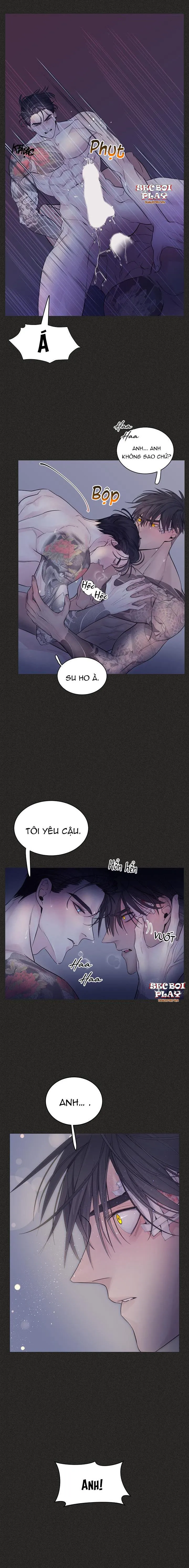 CƠ CHẾ BẢO VỆ Chapter 10 Trang 5