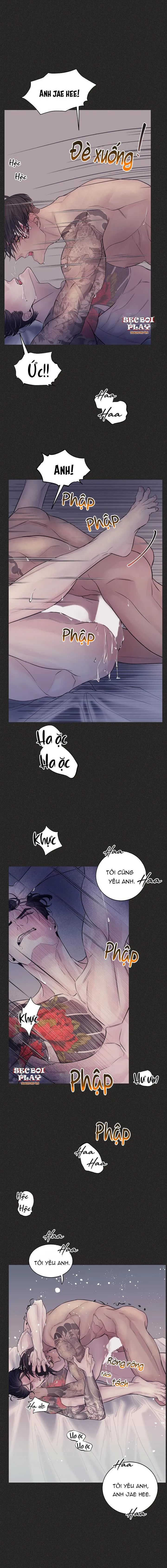 CƠ CHẾ BẢO VỆ Chapter 10 Trang 6