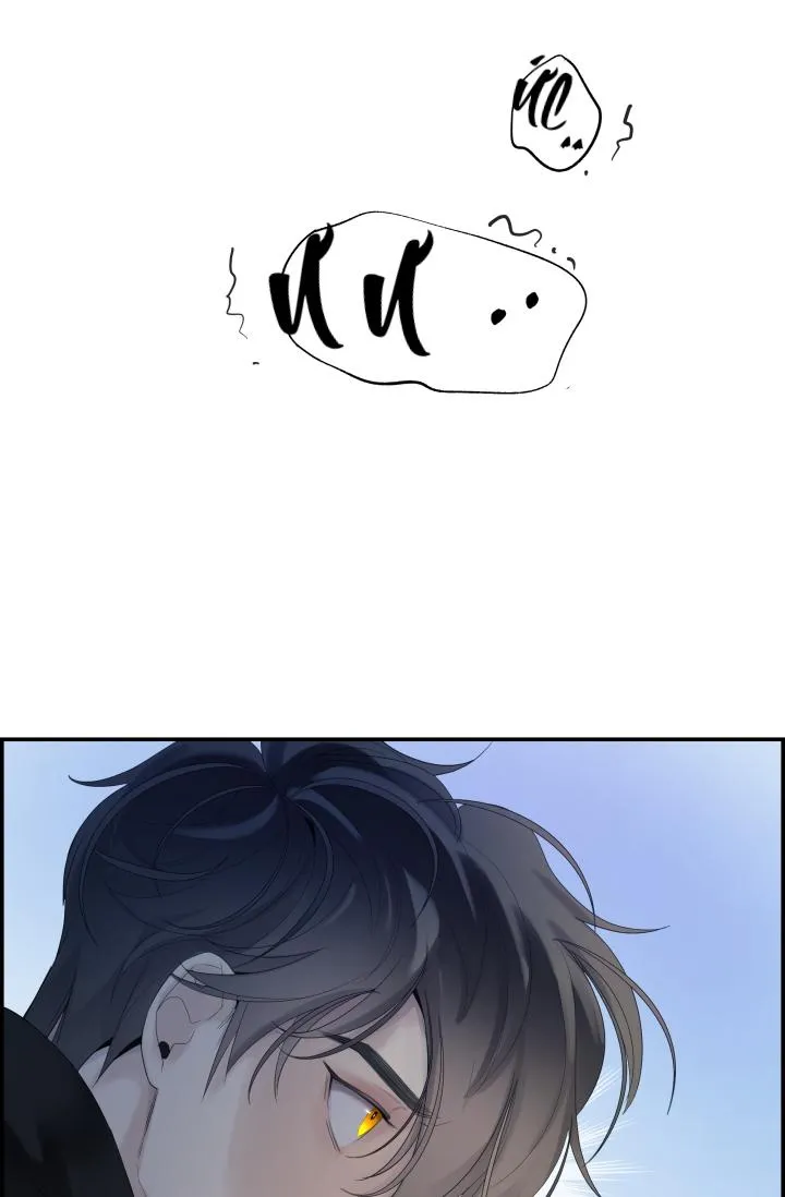 CƠ CHẾ BẢO VỆ Chapter 14 Trang 25