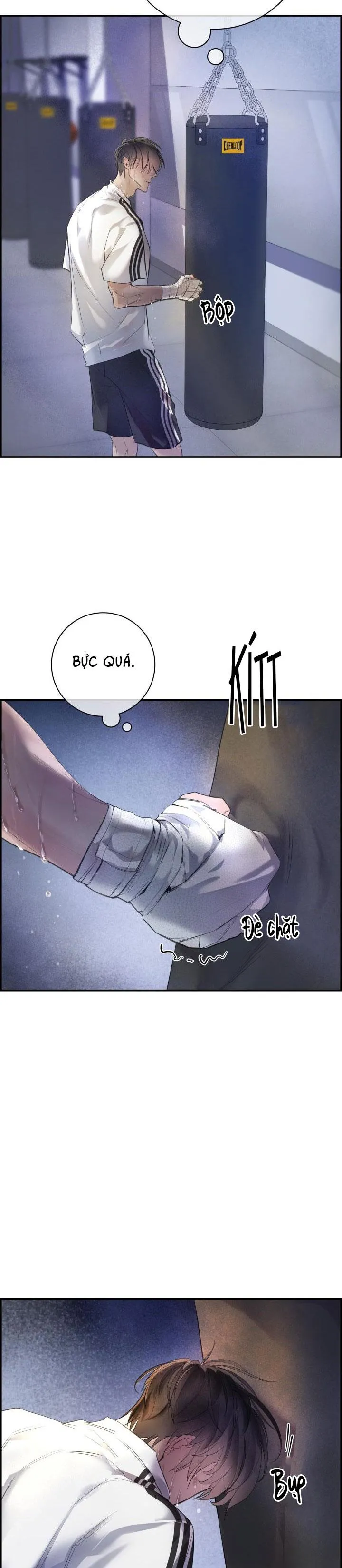 CƠ CHẾ BẢO VỆ Chapter 15 Trang 19