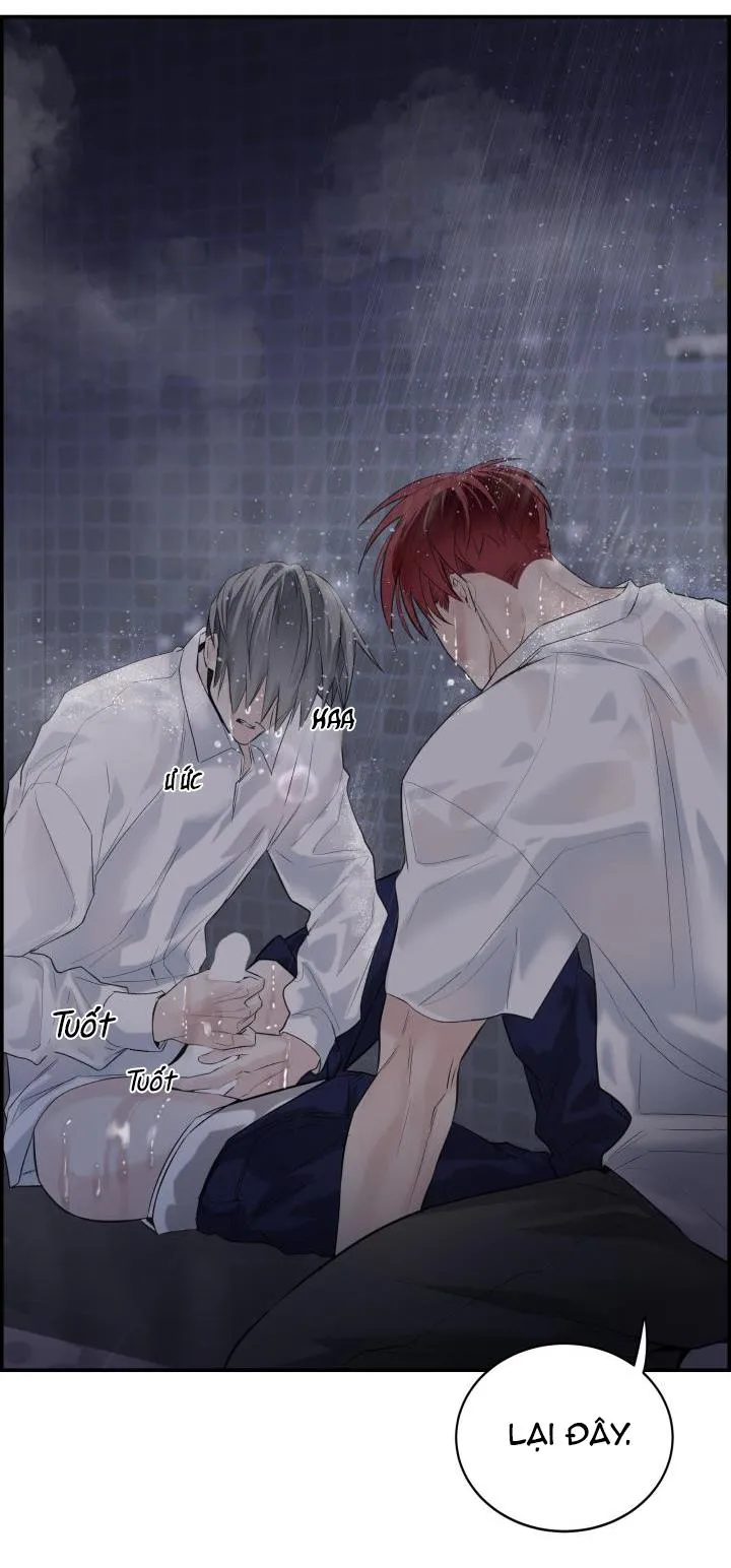 CƠ CHẾ BẢO VỆ Chapter 17 Trang 25