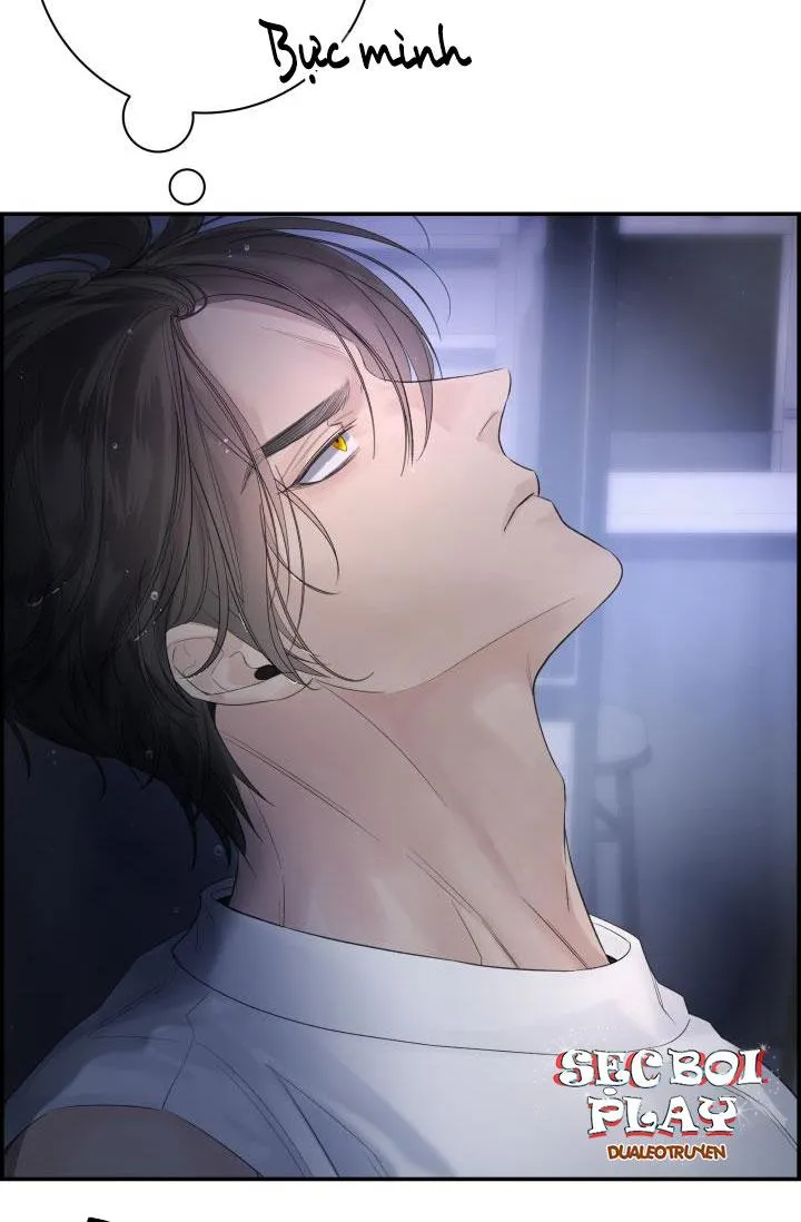 CƠ CHẾ BẢO VỆ Chapter 19 Trang 14