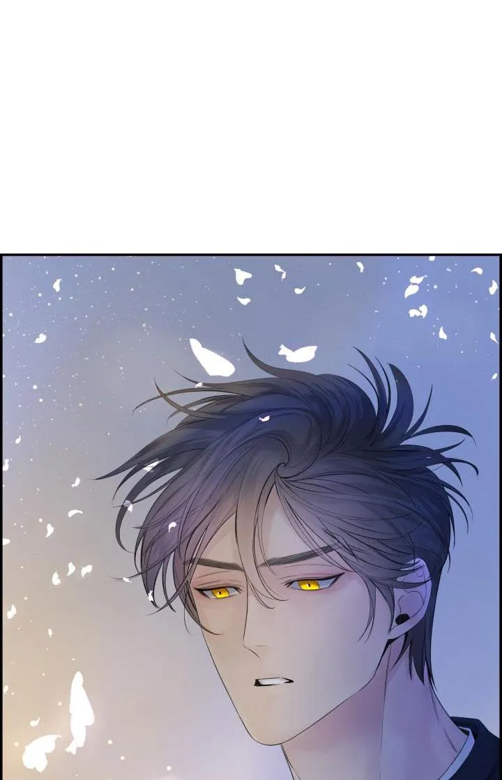 CƠ CHẾ BẢO VỆ Chapter 19 Trang 101