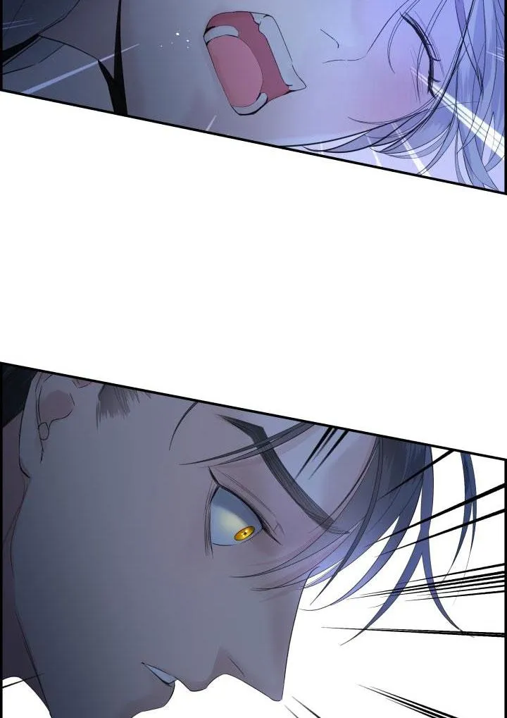 CƠ CHẾ BẢO VỆ Chapter 21 Trang 28