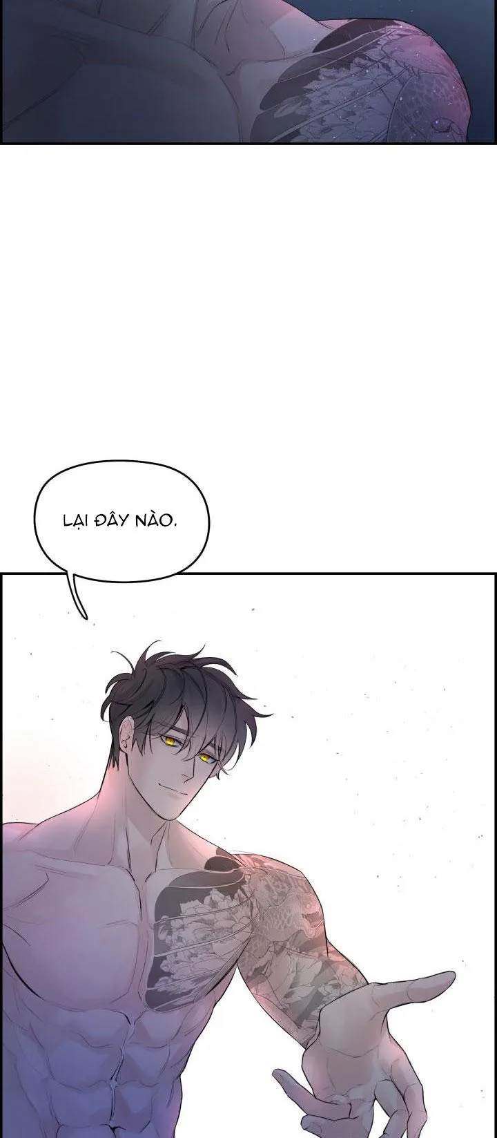 CƠ CHẾ BẢO VỆ Chapter 26 Trang 17