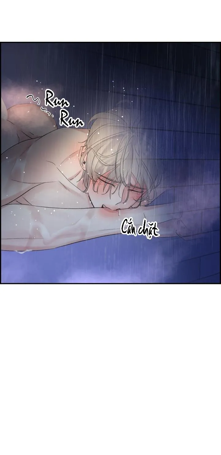 CƠ CHẾ BẢO VỆ Chapter 29 Trang 27