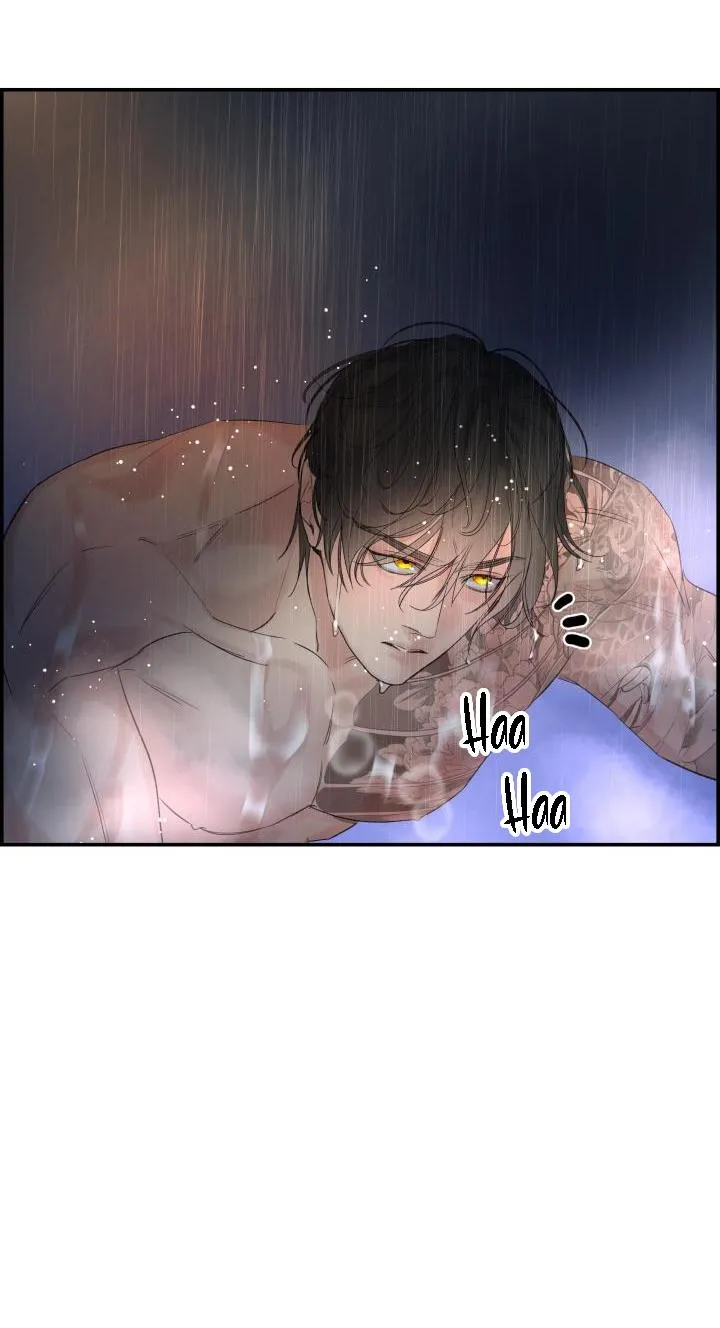 CƠ CHẾ BẢO VỆ Chapter 29 Trang 28