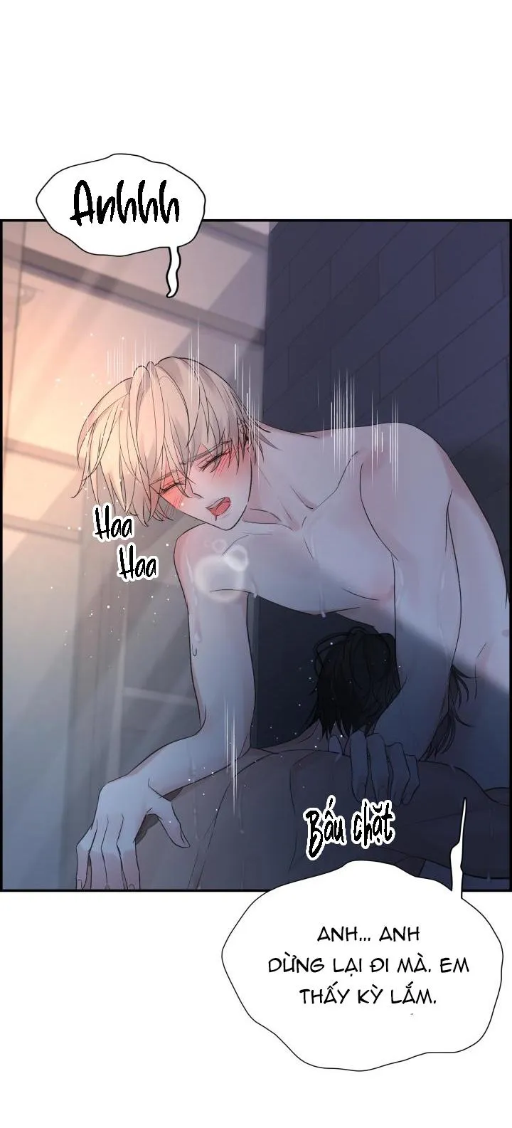 CƠ CHẾ BẢO VỆ Chapter 29 Trang 36