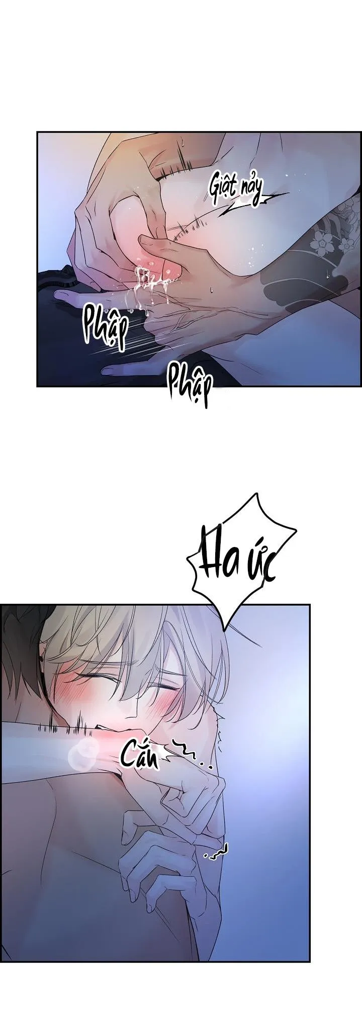 CƠ CHẾ BẢO VỆ Chapter 35 Trang 4