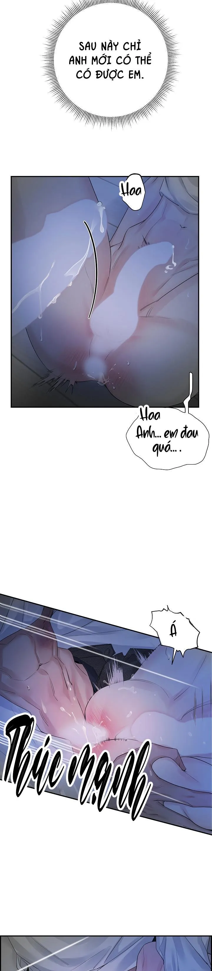 CƠ CHẾ BẢO VỆ Chapter 40 Trang 17