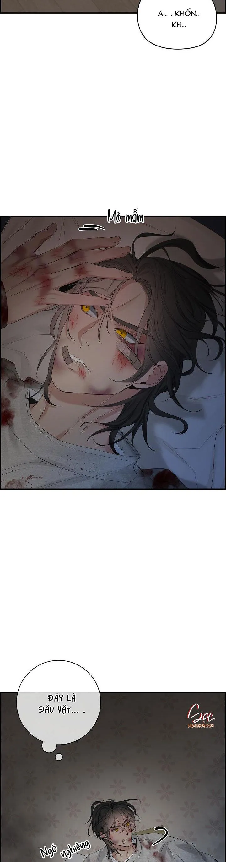 CƠ CHẾ BẢO VỆ Chapter 43 Trang 13