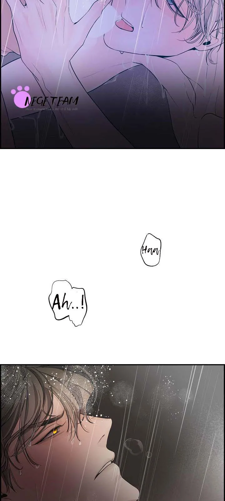 CƠ CHẾ PHÒNG THỦ Chapter 3 Trang 21