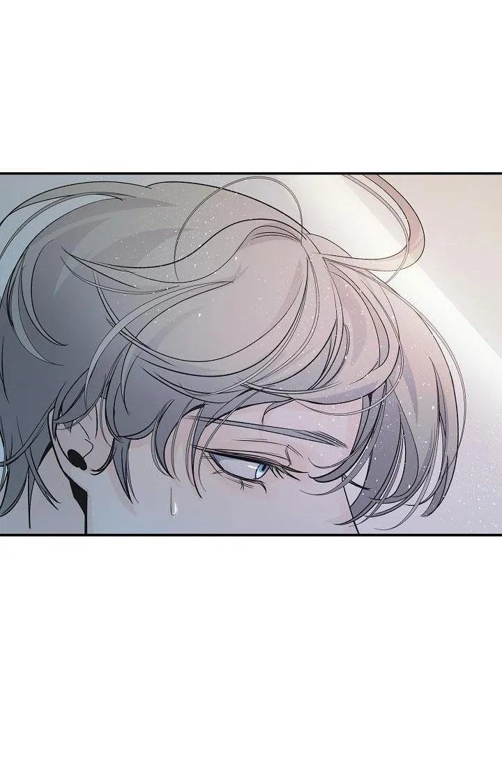 CƠ CHẾ PHÒNG THỦ Chapter 6 Trang 25