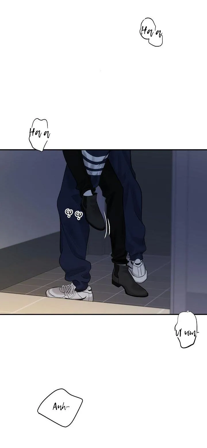 CƠ CHẾ PHÒNG THỦ Chapter 6 Trang 38