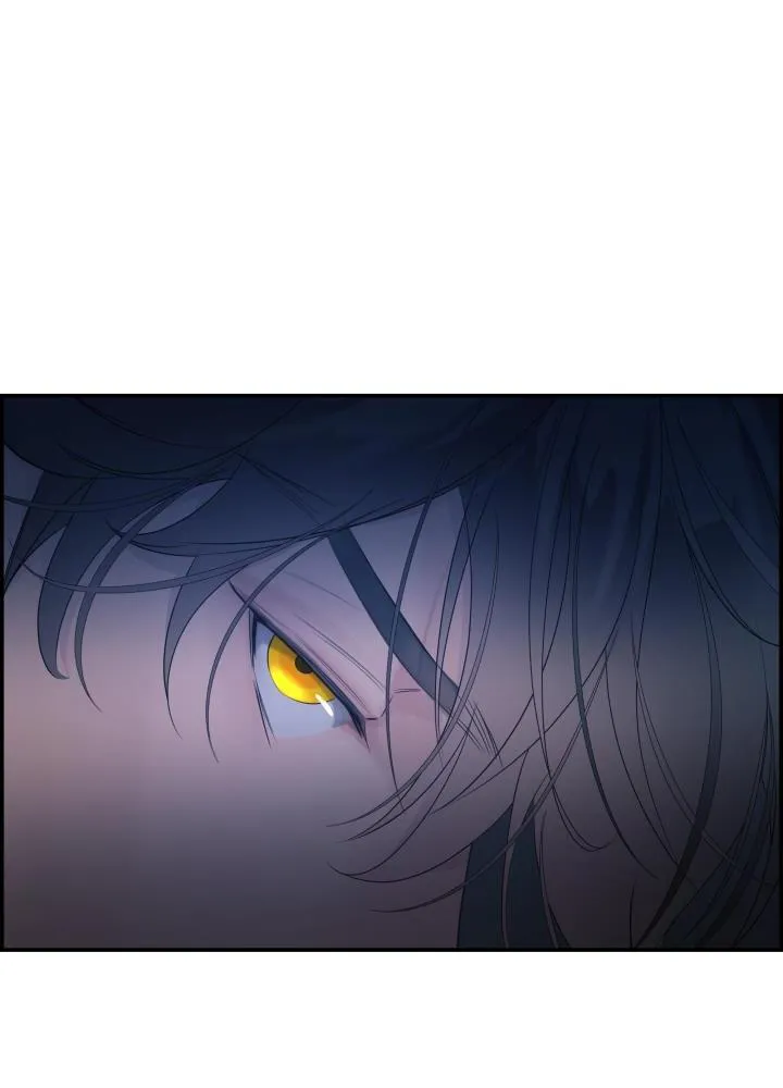 CƠ CHẾ PHÒNG THỦ Chapter 12 Trang 16