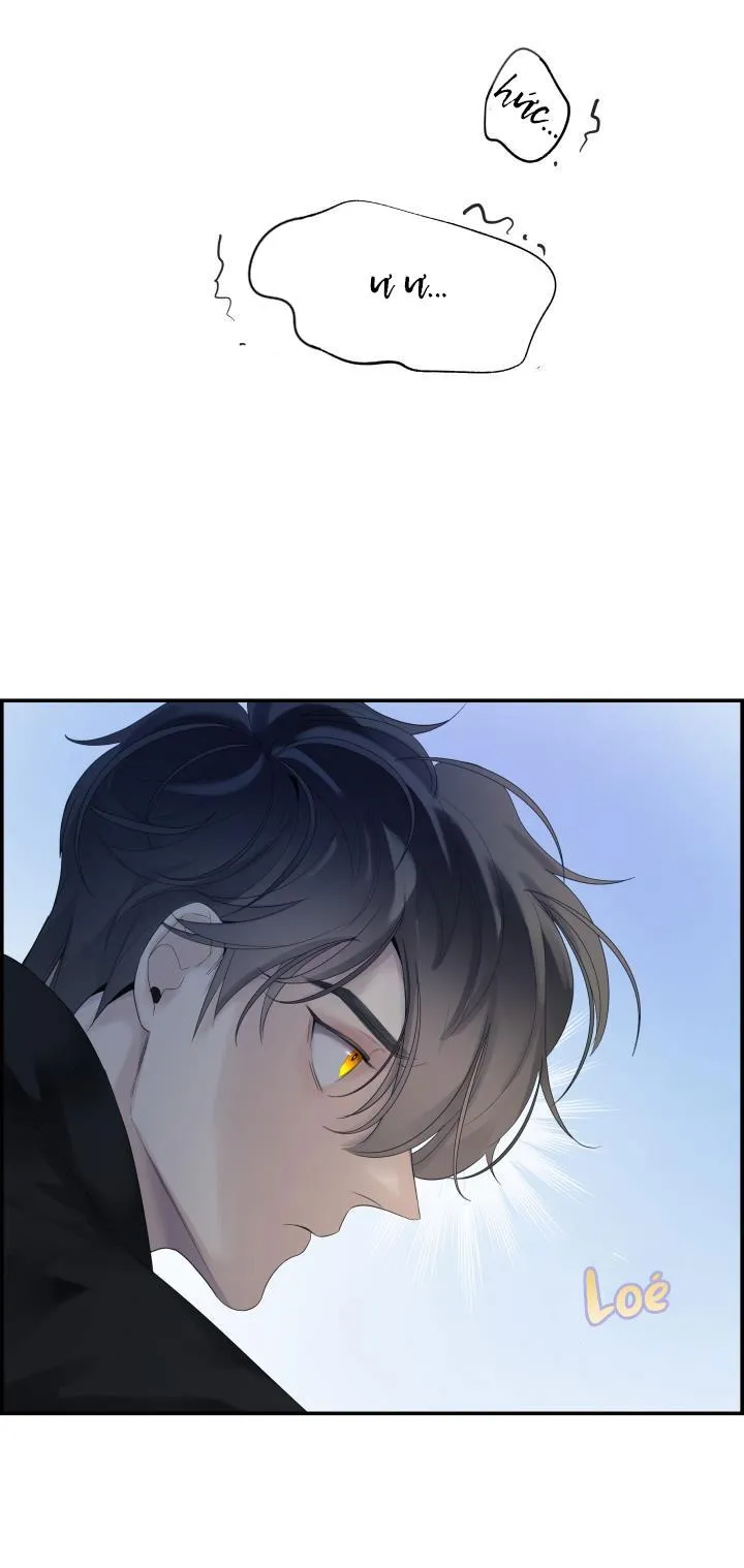 CƠ CHẾ PHÒNG THỦ Chapter 14 Trang 19