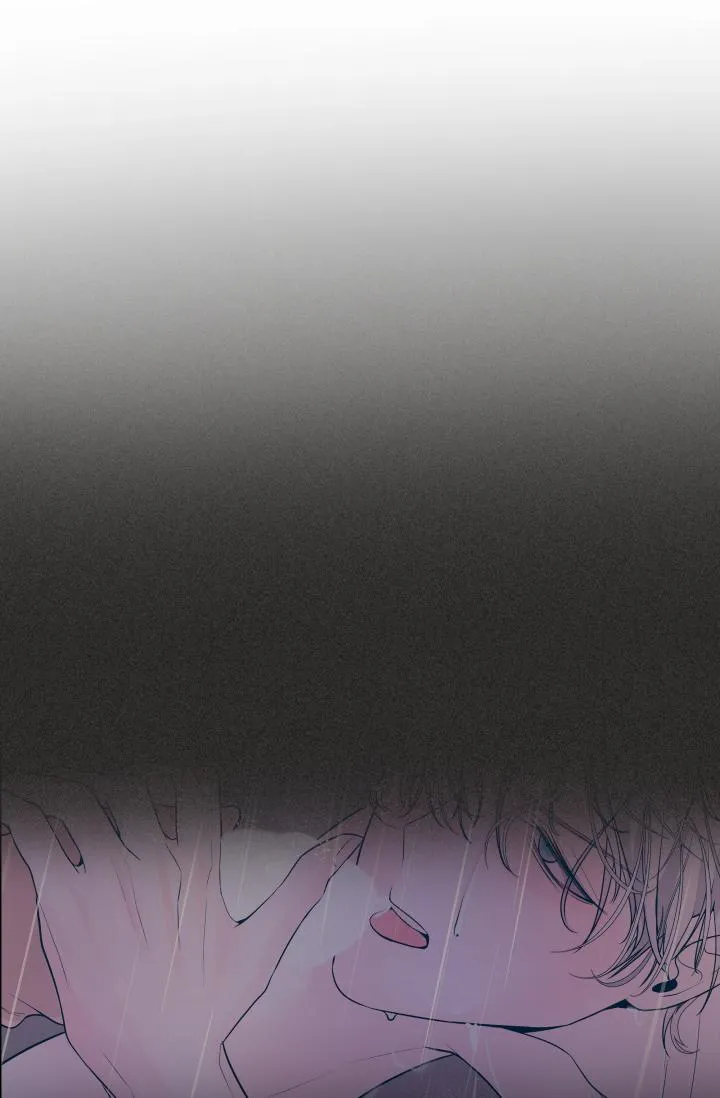 CƠ CHẾ PHÒNG THỦ Chapter 15 Trang 46