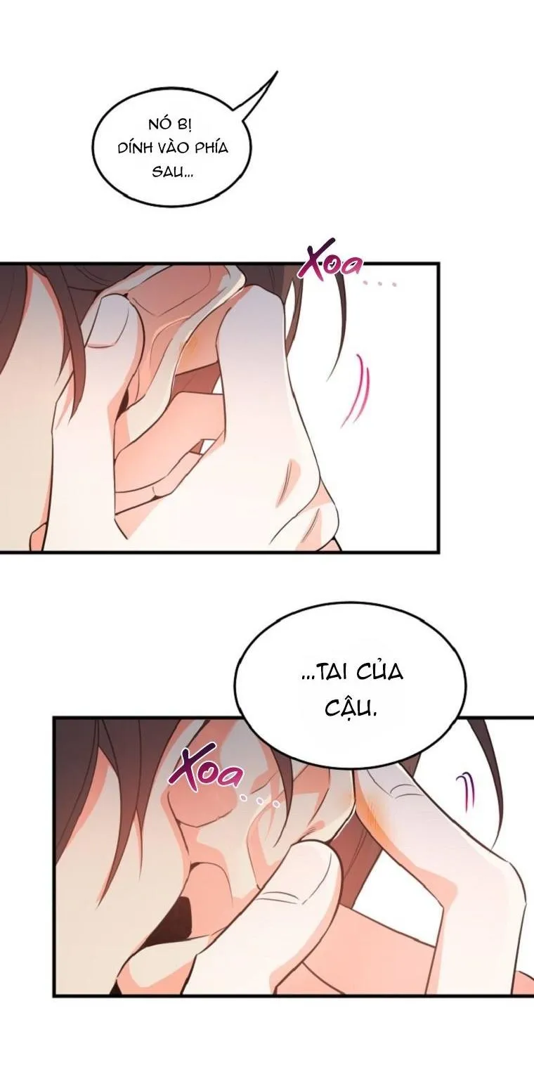 Có Chuyện Gì Xảy Ra với Sự Nổi Tiếng Của Tôi Thế? Chapter 16 Trang 3