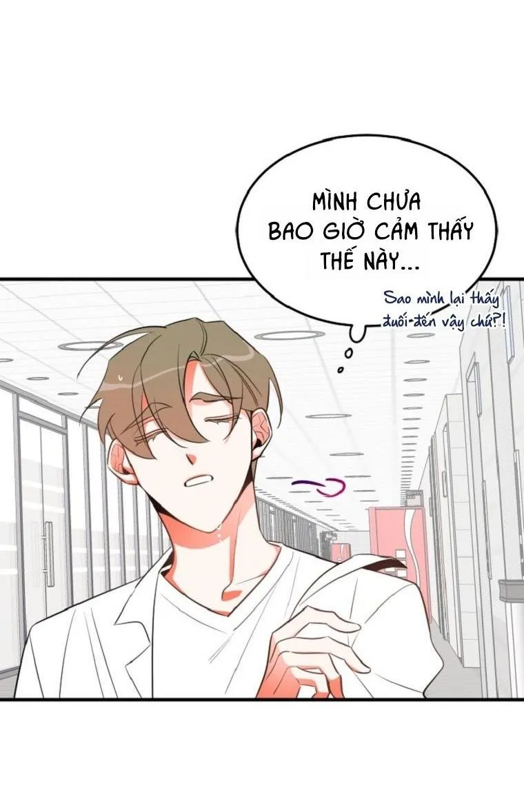 Có Chuyện Gì Xảy Ra với Sự Nổi Tiếng Của Tôi Thế? Chapter 17 Trang 33