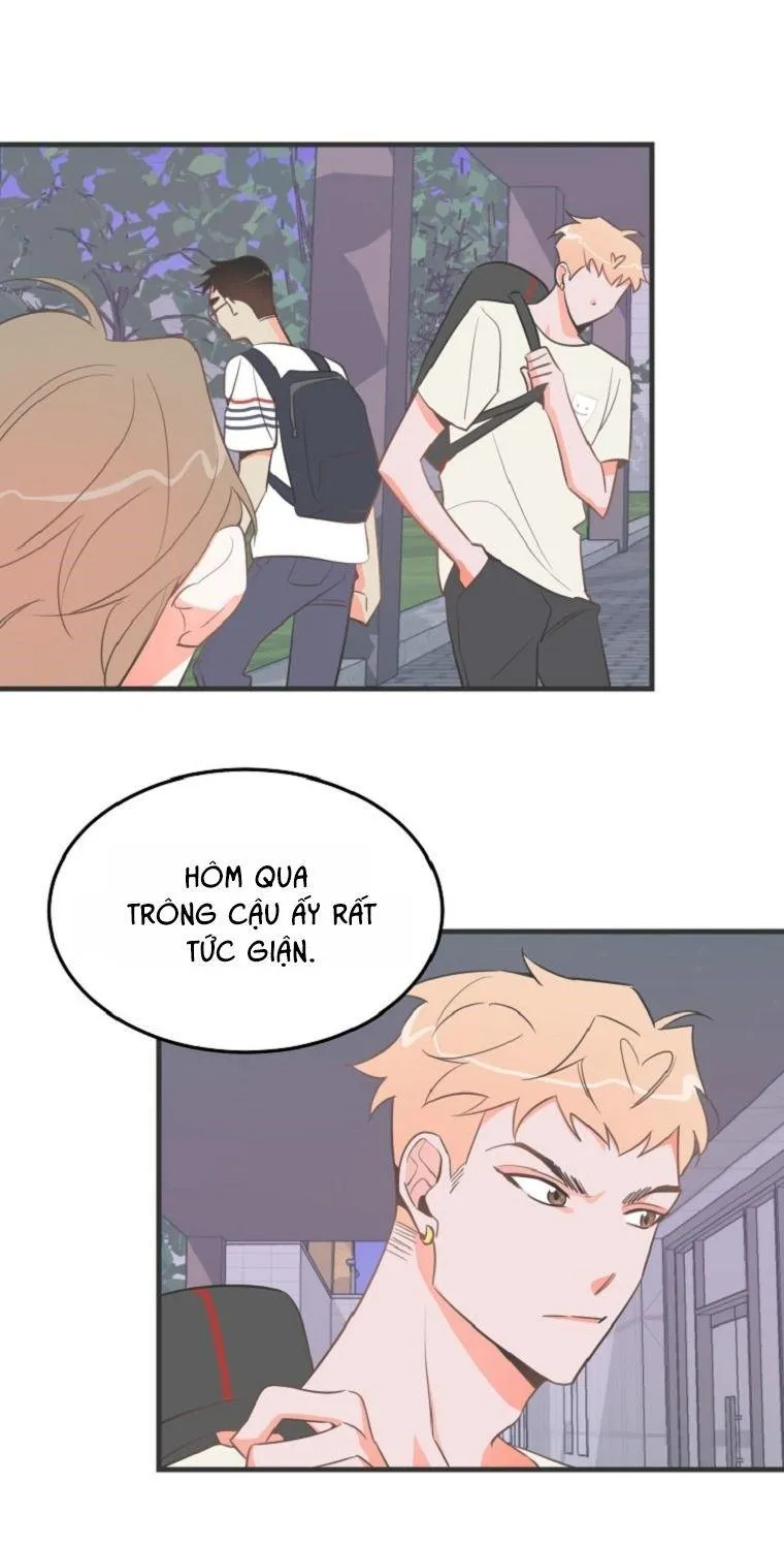 Có Chuyện Gì Xảy Ra với Sự Nổi Tiếng Của Tôi Thế? Chapter 17 Trang 37