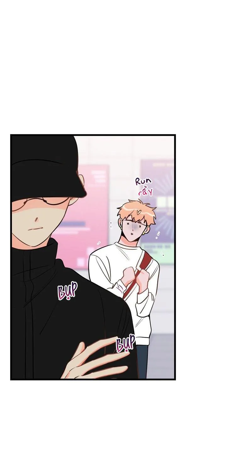 Có Chuyện Gì Xảy Ra với Sự Nổi Tiếng Của Tôi Thế? Chapter 37 Trang 14