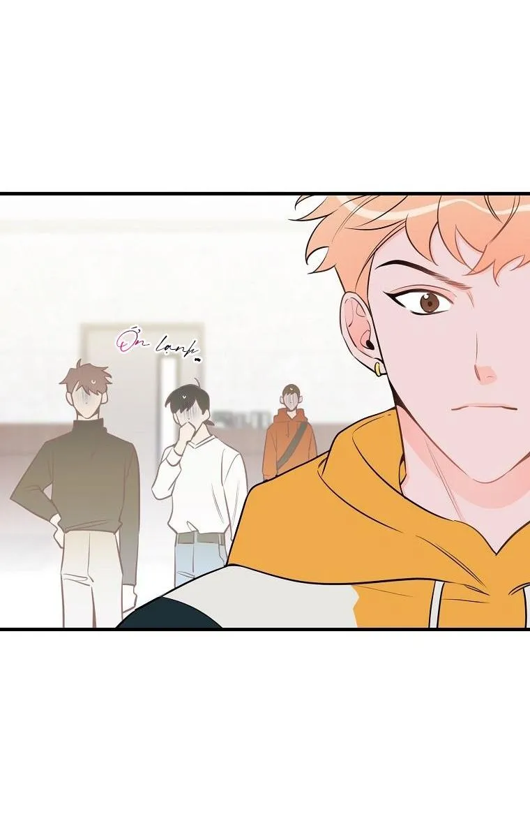 Có Chuyện Gì Xảy Ra với Sự Nổi Tiếng Của Tôi Thế? Chapter 43 Trang 39